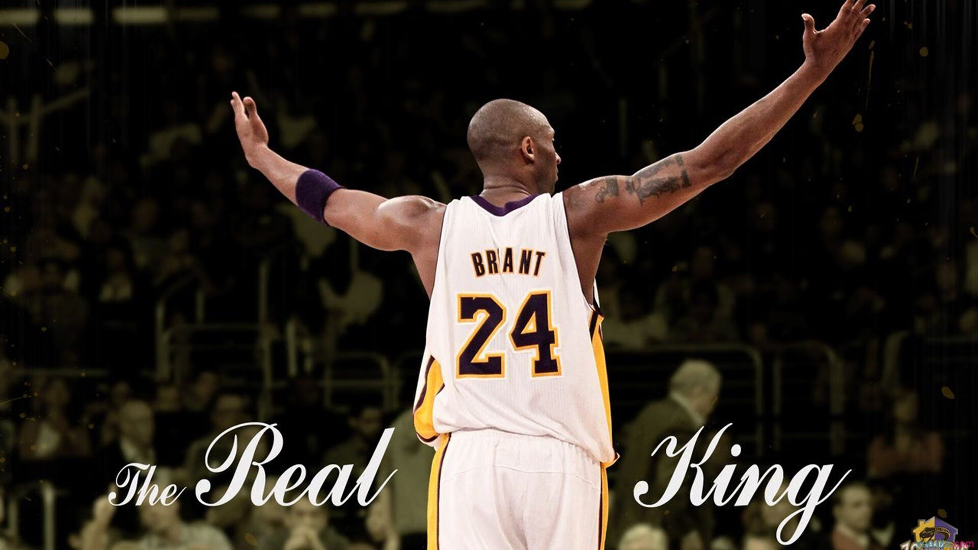 开云体育中国-快船完胜老鹰背后,班凯罗的教科书如何撕碎现代篮球的华丽假面? 第2张 开云体育中国-快船完胜老鹰背后,班凯罗的教科书如何撕碎现代篮球的华丽假面? 第2张